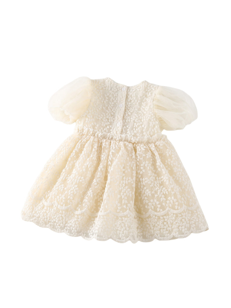 Lace Pom poms Tutu Dress for Girls Flower Girl Tulle Dresses Birthday Wedding Party Clothes